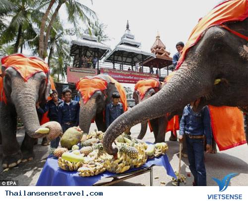 Lễ hội voi Surin ở Thái Lan - Ảnh 3
