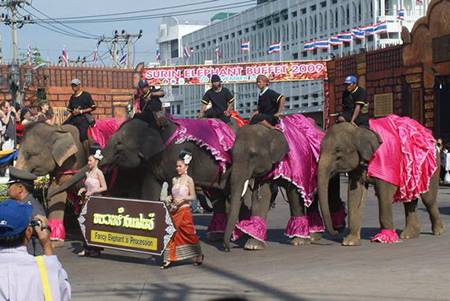 Lễ hội voi Surin ở Thái Lan - Ảnh 1