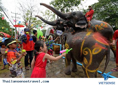 Lễ hội voi Surin ở Thái Lan - Ảnh 2