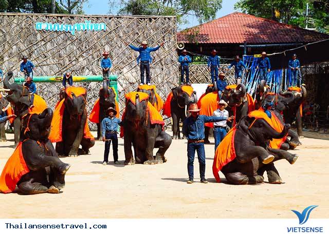 [Image: at_vuon-hoa-nhiet-doi-nong-nooch_8786a61...19fb12.jpg]
