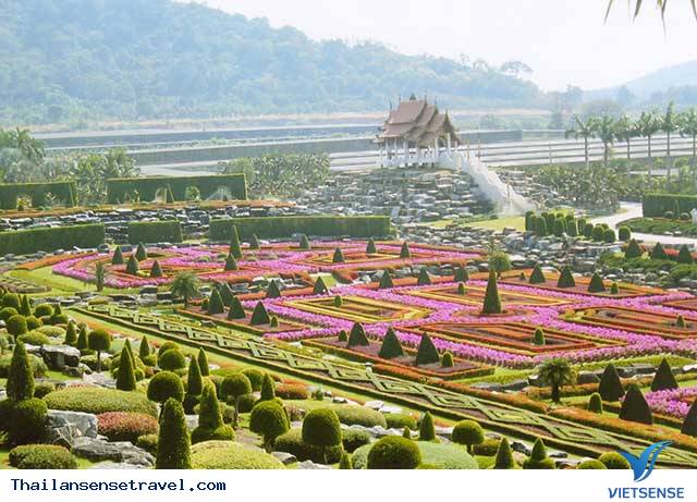 [Image: at_vuon-hoa-nhiet-doi-nong-nooch_978ae5c...9db8a9.jpg]