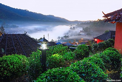 Ban Rak Thai - Lác Mắt Với Những Ngôi Nhà Siêu Đẹp Trên Đồi Chè