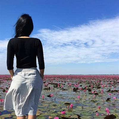 Chiêm ngưỡng hồ hoa súng Udon Thani ở Thái Lan. Chiêm ngưỡng hồ hoa súng Udon Thani ở Thái Lan.