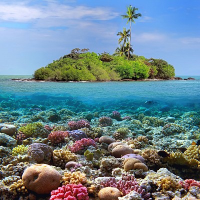 Đảo Koh Samui Thái Lan Đảo Koh Samui Thái Lan