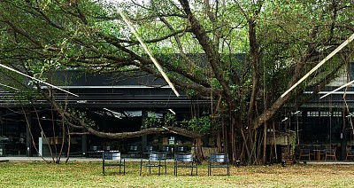 Du lịch Thái Lan không thể bỏ qua 3 quán cafe – mua sắm nổi tiếng ở Bangkok Du lịch Thái Lan không thể bỏ qua 3 quán cafe – mua sắm nổi tiếng ở Bangkok