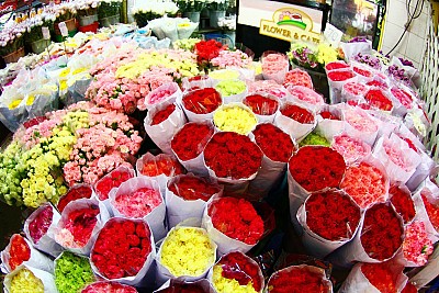 Khám phá khu chợ hoa Pak Klong Talad lớn nhất Bangkok Thái Lan Khám phá khu chợ hoa Pak Klong Talad lớn nhất Bangkok Thái Lan