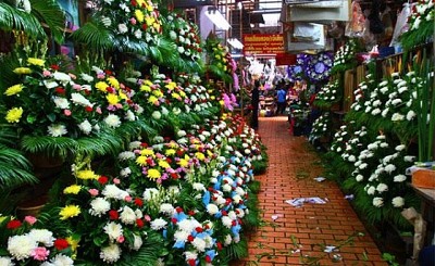Khám phá khu chợ hoa Pak Klong Talad lớn nhất Bangkok Khám phá khu chợ hoa Pak Klong Talad lớn nhất Bangkok