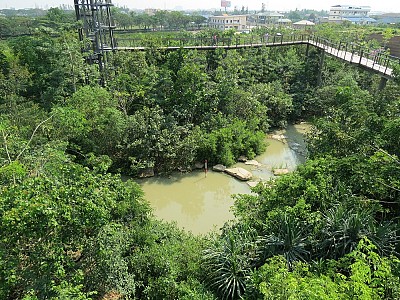 Khu vườn xanh tươi từng có “quá khứ” bất ngờ giữa lòng Bangkok
