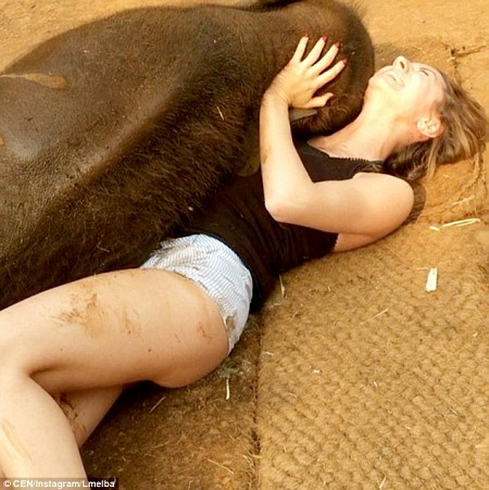Chú voi con thân thiện nhất Thái Lan