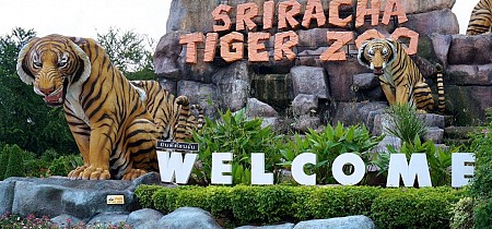 Chương trình lễ hội té nước Thái Lan