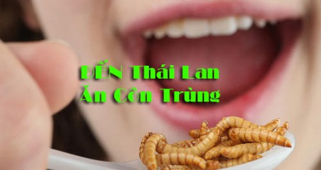 Đến Thái Lan ăn côn trùng