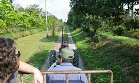 Trải nghiệm du lịch nông nghiệp gần Bangkok