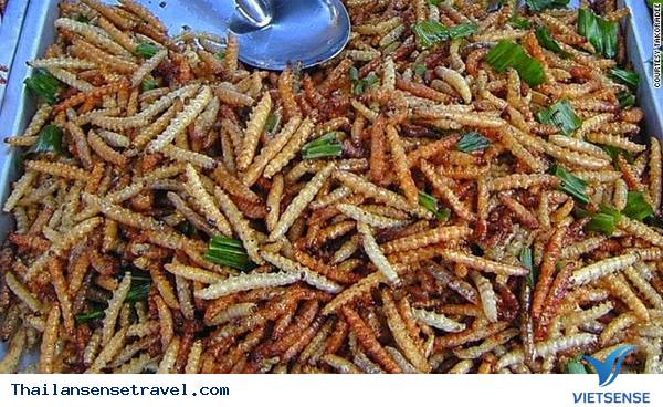 Sâu và côn trùng chiên Sâu và côn trùng chiên