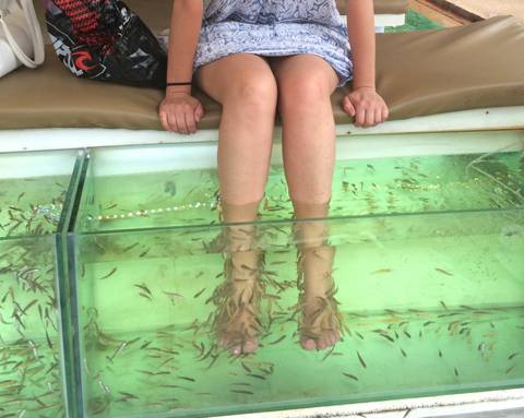 Trải nghiệm fish doctor