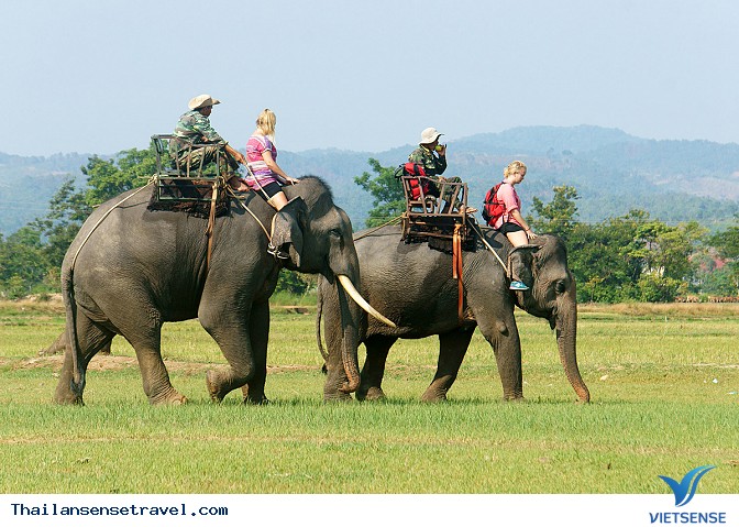 Cưỡi Voi - Ảnh 2