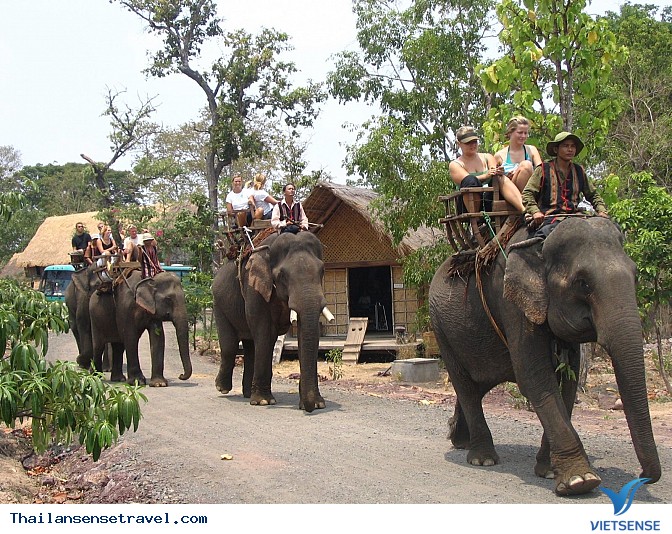 Cưỡi Voi - Ảnh 1