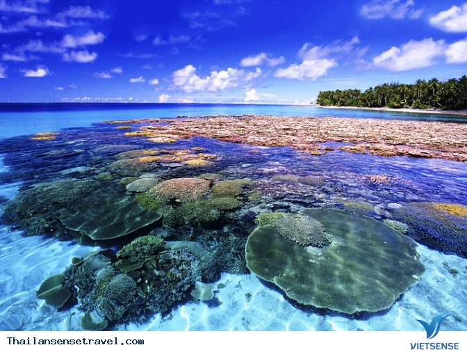 Đảo San Hô Koh Larn Đảo San Hô Koh Larn