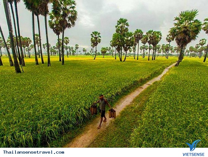 Thanh bình với bộ ảnh Mùa gặt trên đất Thái - Ảnh 4 Thanh bình với bộ ảnh Mùa gặt trên đất Thái - Ảnh 4