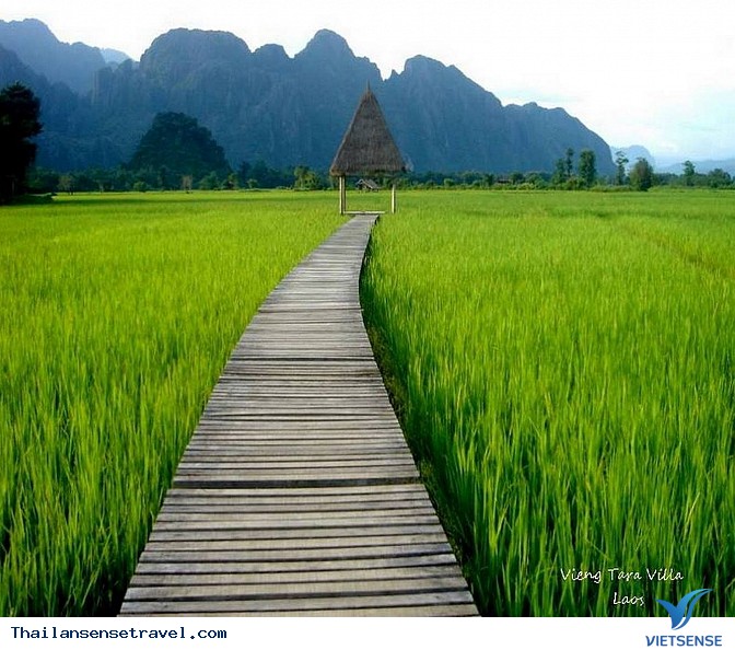 Thanh bình với bộ ảnh Mùa gặt trên đất Thái - Ảnh 9 Thanh bình với bộ ảnh Mùa gặt trên đất Thái - Ảnh 9