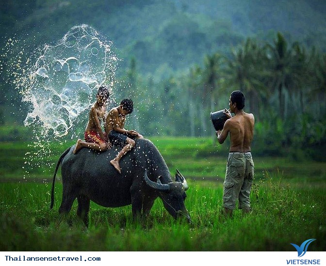 Thanh bình với bộ ảnh Mùa gặt trên đất Thái - Ảnh 3 Thanh bình với bộ ảnh Mùa gặt trên đất Thái - Ảnh 3