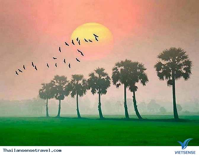 Thanh bình với bộ ảnh Mùa gặt trên đất Thái - Ảnh 14 Thanh bình với bộ ảnh Mùa gặt trên đất Thái - Ảnh 14