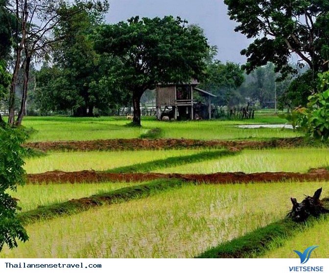 Thanh bình với bộ ảnh Mùa gặt trên đất Thái - Ảnh 13 Thanh bình với bộ ảnh Mùa gặt trên đất Thái - Ảnh 13