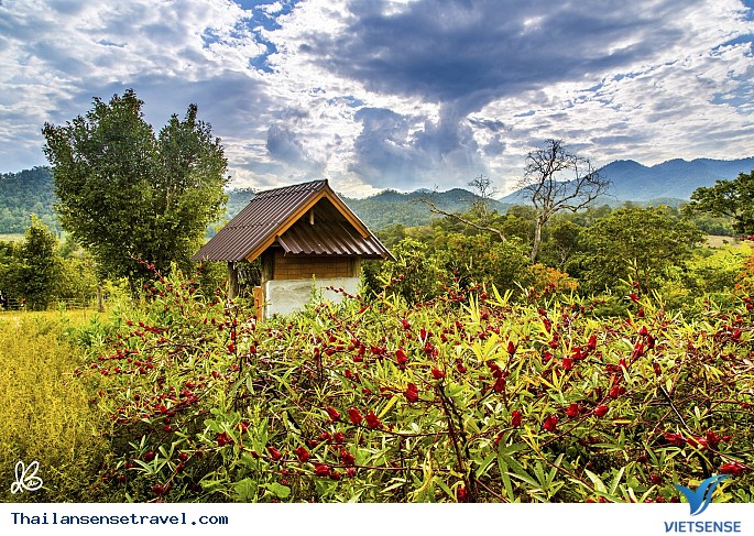 Khung cảnh tuyệt đẹp của Pai