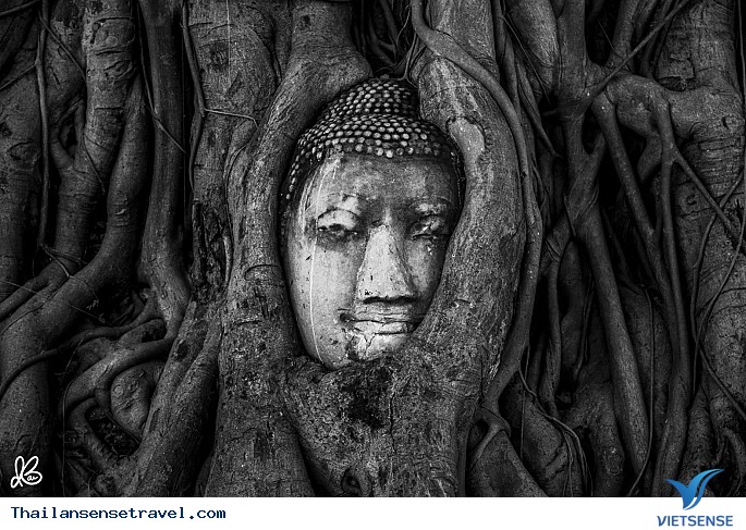 Mặt phật được bao bọc trong rễ cây