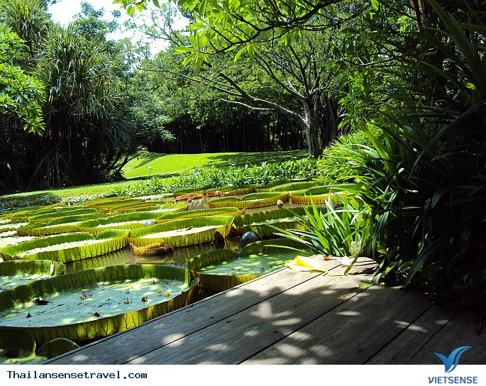 Mát dịu với thiền viện xanh ở Bangkok của Thái Lan - Ảnh 3