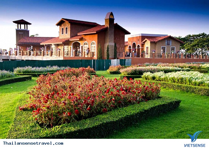 Vườn nho Silverlake, Pattaya