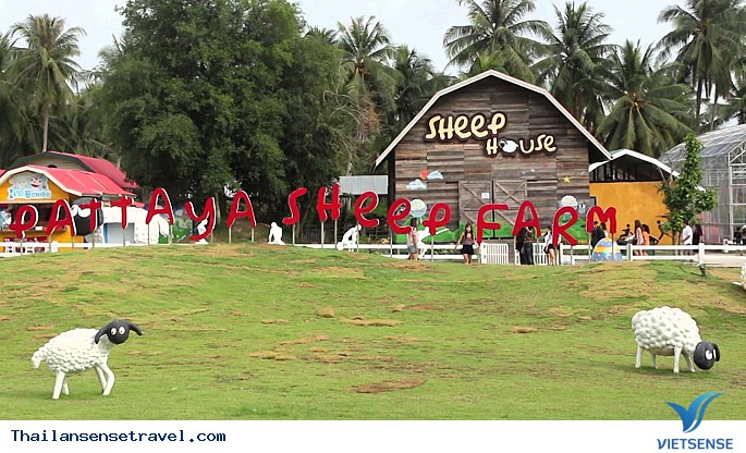 Pattaya Sheep Farm