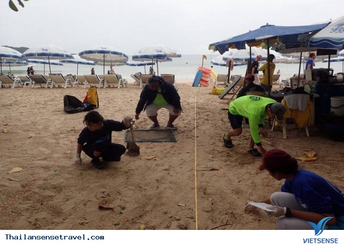 Thái Lan ban hành lệnh cấm hút thuốc trên các bãi biển - Ảnh 3