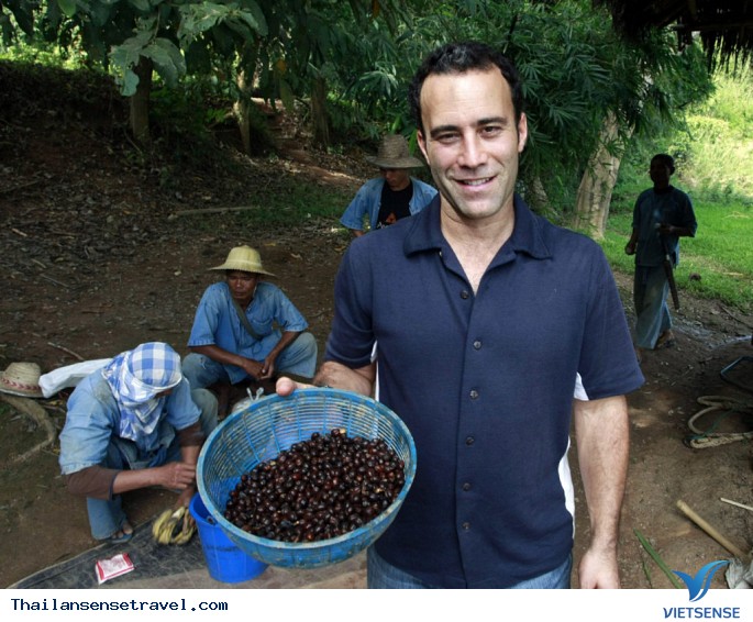 Thưởng thức cà phê đắt nhất tại Thái Lan. - Ảnh 4 Thưởng thức cà phê đắt nhất tại Thái Lan. - Ảnh 4