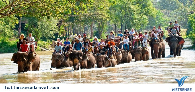 Vẻ đẹp Chiang Mai qua mắt người trẻ Việt Nam. - Ảnh 4 Vẻ đẹp Chiang Mai qua mắt người trẻ Việt Nam. - Ảnh 4