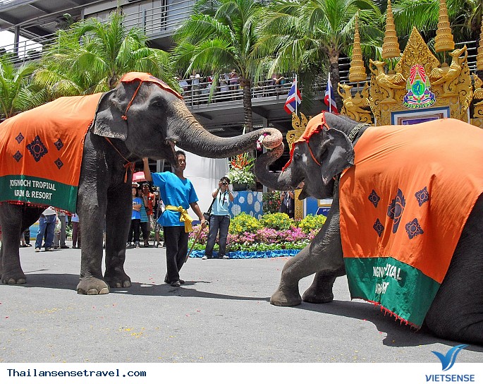 Khu sinh thái Nong Nooch - Ảnh 4