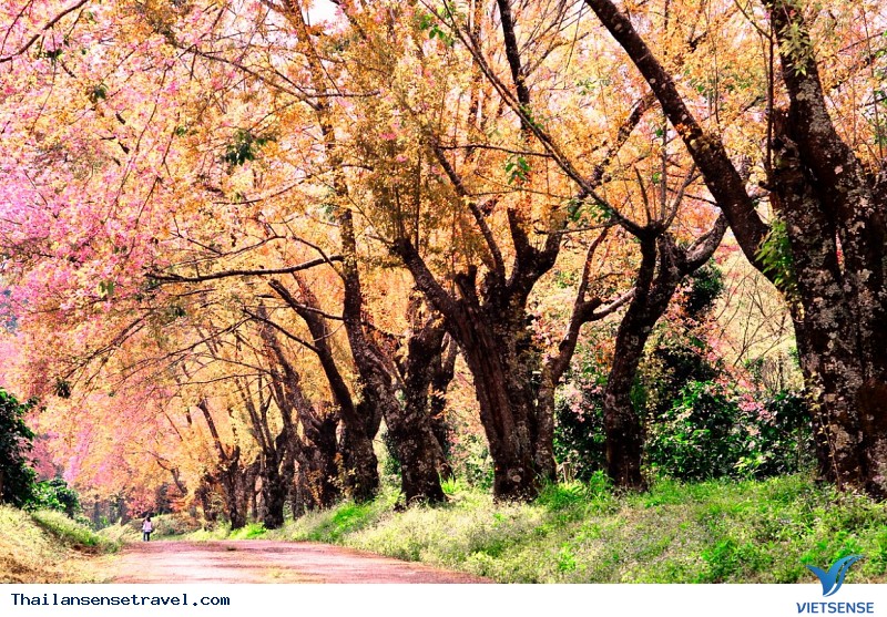 Những điều cần biết để chuẩn bị tinh thần