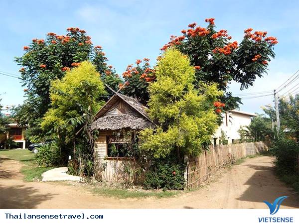 Khám Phá Thị Trấn Pai Quyến Rũ Khi Tới Thái Lan - Ảnh 5 Khám Phá Thị Trấn Pai Quyến Rũ Khi Tới Thái Lan - Ảnh 5