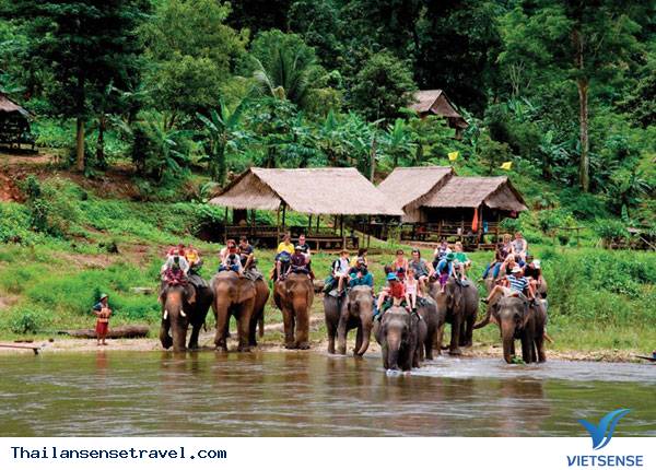 Tham quan Công viên Tự nhiên Elephant