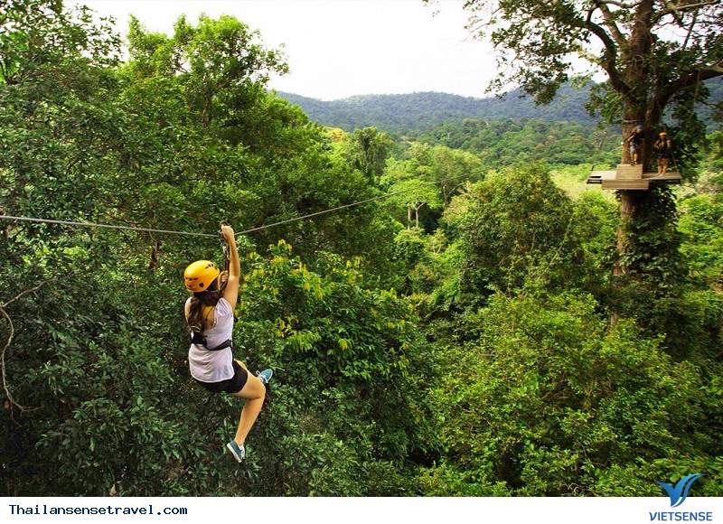 Khám phá rừng Chiang Mai bằng Ziplining