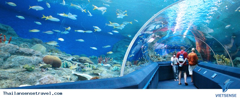 Pattaya - Thong thả khám phá 7 địa danh - Ảnh 6 Pattaya - Thong thả khám phá 7 địa danh - Ảnh 6