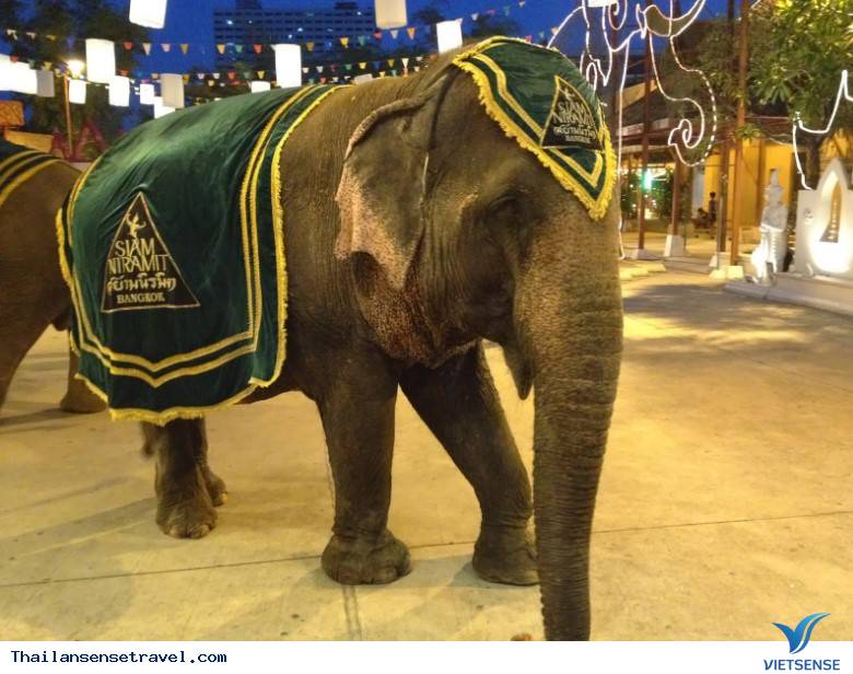 Chương trình ngoài trời Chương trình ngoài trời