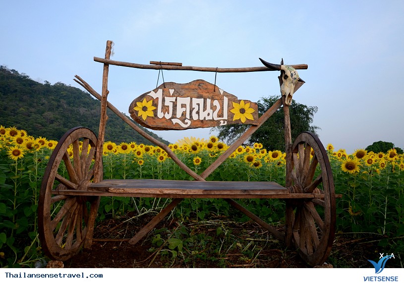 Lop Buri ẩn chứa cánh đồng hoa hướng dương rực rỡ của Thái Lan - Ảnh 1 Lop Buri ẩn chứa cánh đồng hoa hướng dương rực rỡ của Thái Lan - Ảnh 1