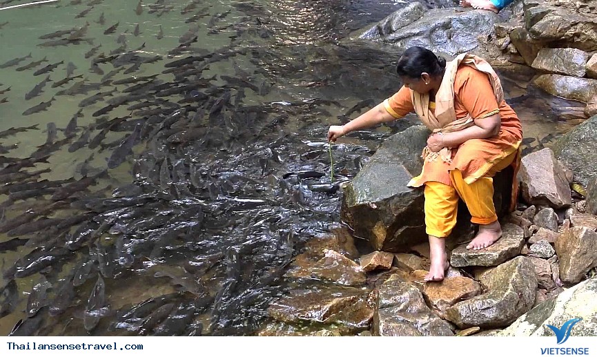 Lạc bước ở khu rừng thiền tại Thái Lan. - Ảnh 4 Lạc bước ở khu rừng thiền tại Thái Lan. - Ảnh 4