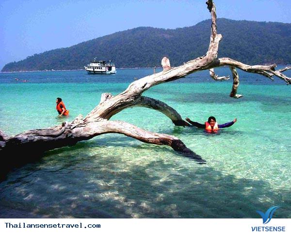 Đảo Koh Lipe - hấp dẫn sở hữu môn ngụp lặn bằng ống thở Đảo Koh Lipe - hấp dẫn sở hữu môn ngụp lặn bằng ống thở