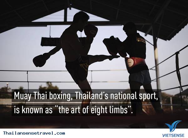 Muay Thai được coi là môn thể thao đặc trưng nhất của quốc gia này