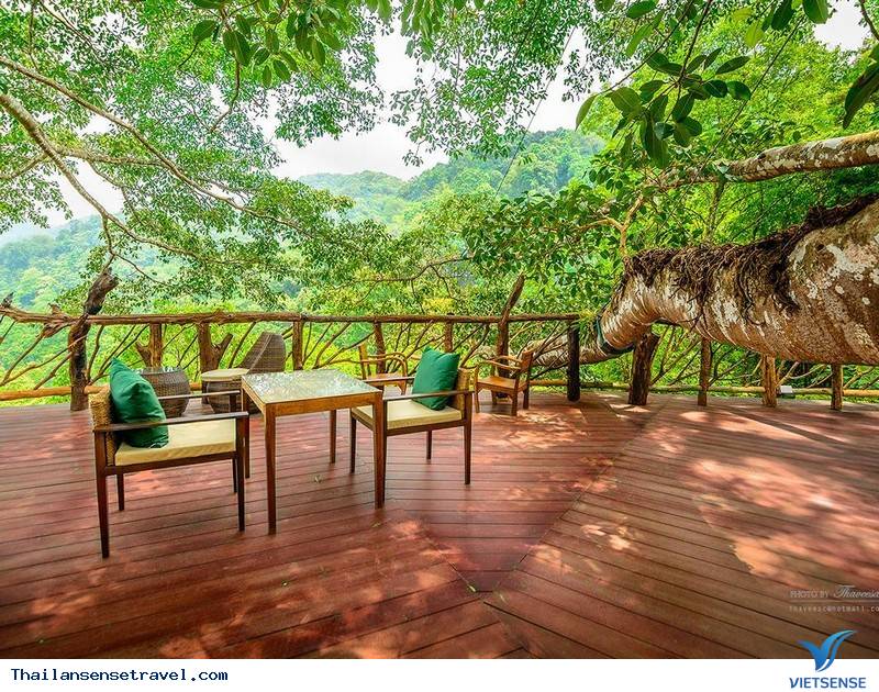 THE GIANT CHIANG MAI