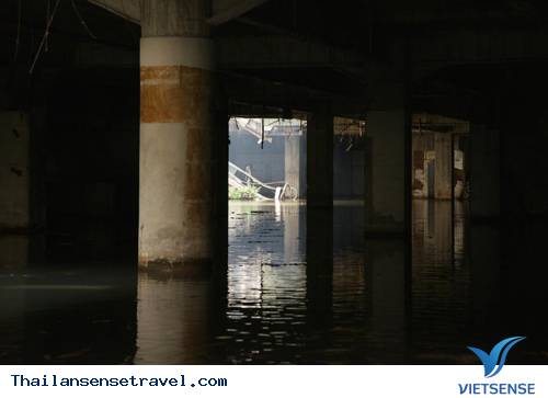 Bangkok: Hàng ngàn cá chép chiếm cứ đại siêu thị - 2 Bangkok: Hàng ngàn cá chép chiếm cứ đại siêu thị - 2