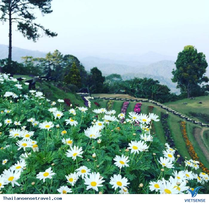 Biển mây tại Huay Nam Dang - Chiang Mai - Ảnh 2