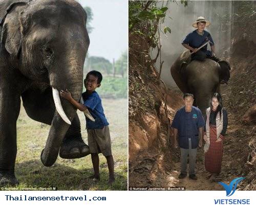 Hành trình thuần phục những con vật khổng lồ của bộ tộc Suay - Ảnh 2