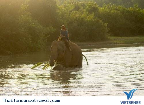 Hành trình thuần phục những con vật khổng lồ của bộ tộc Suay - Ảnh 11